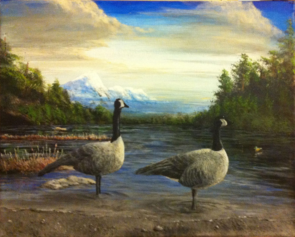 Canadian Geese at Beaver Lake by Neal Cronic